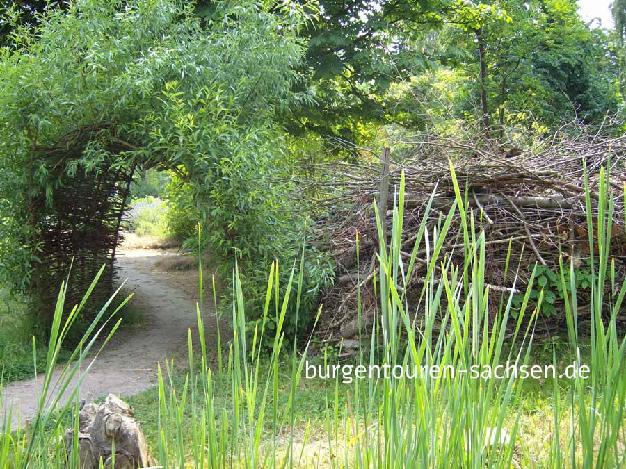 Botanischer Garten für Arznei- und Gewürzpflanzen Großpösna-Oberholz