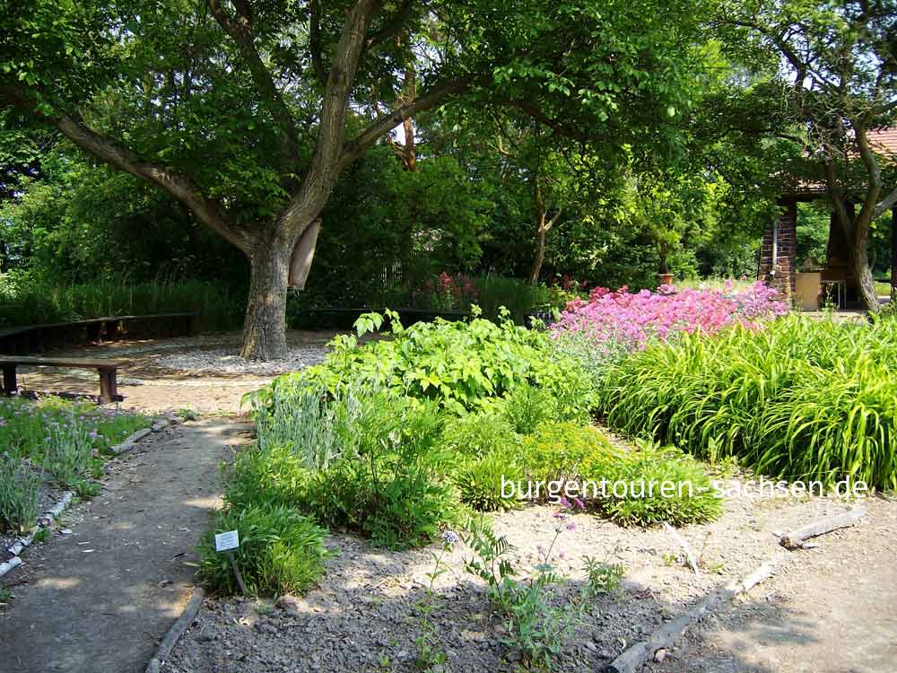 Botanischer Garten für Arznei- und Gewürzpflanzen Großpösna-Oberholz