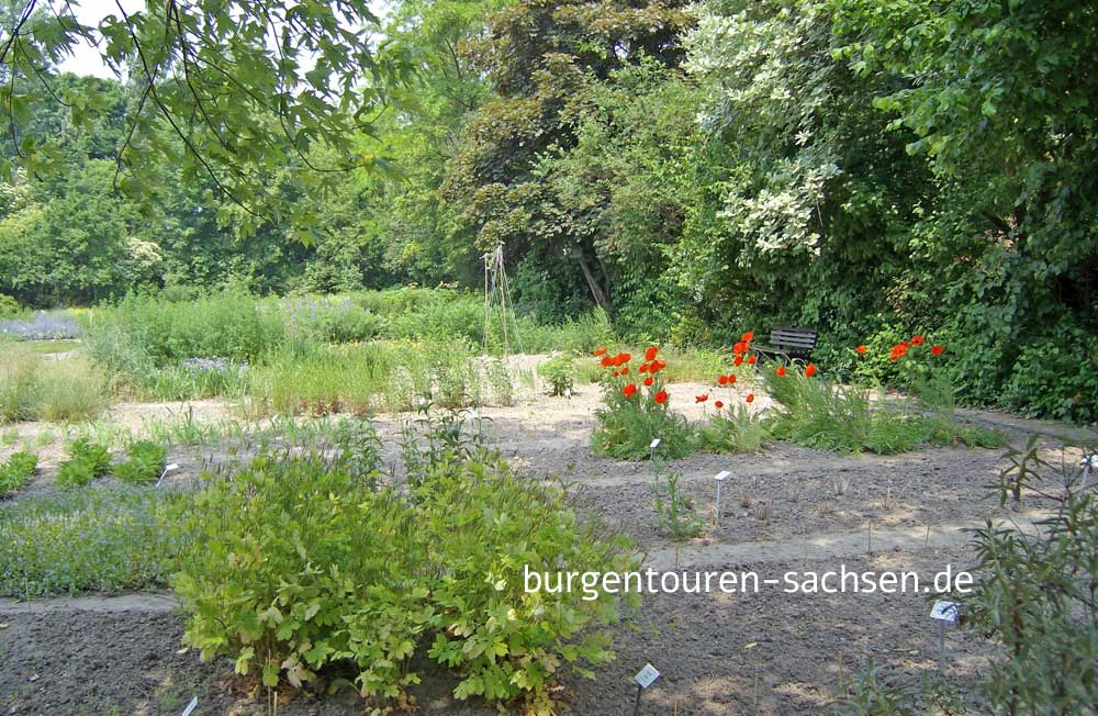 Botanischer Garten für Arznei- und Gewürzpflanzen Großpösna-Oberholz