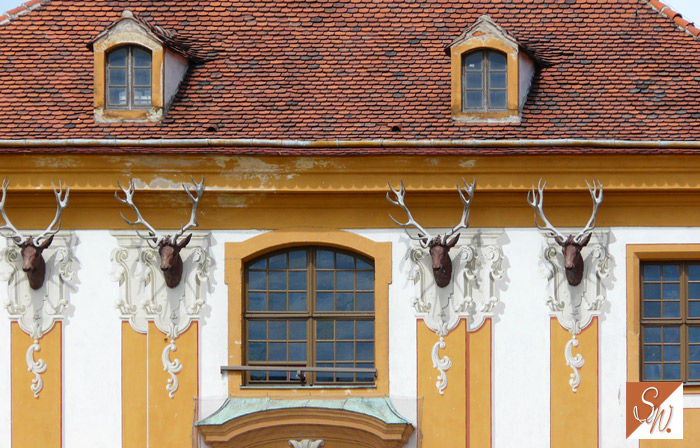 Schloss Moritzburg Dresden