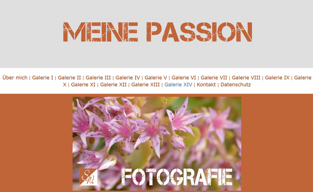 Meine Passion - die Fotografie